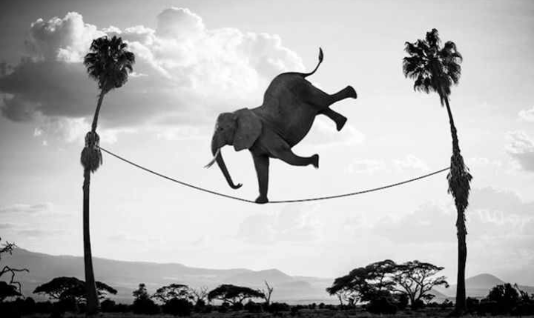 Full Moon in Aries The Mad Balancing Act! Know the Self Academy