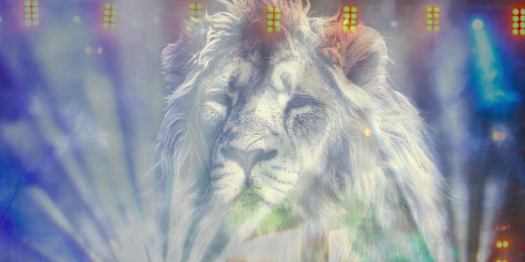 New Moon in Leo = Mayan New Year – White Magnetic Wizard