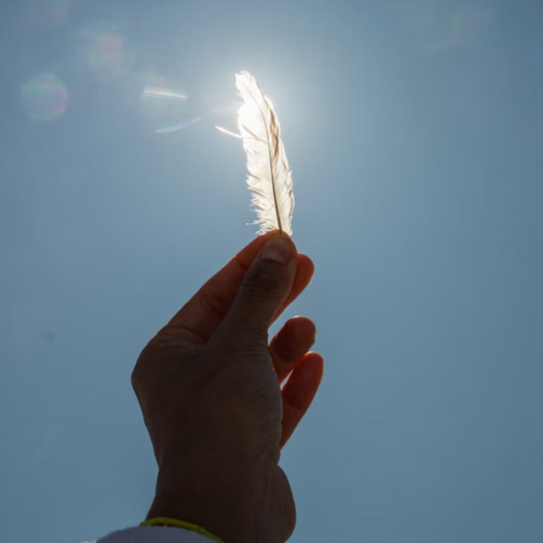 feather